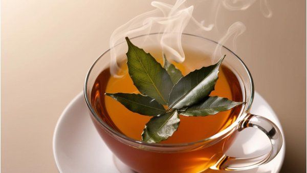 Bay leaf Tea benefits
