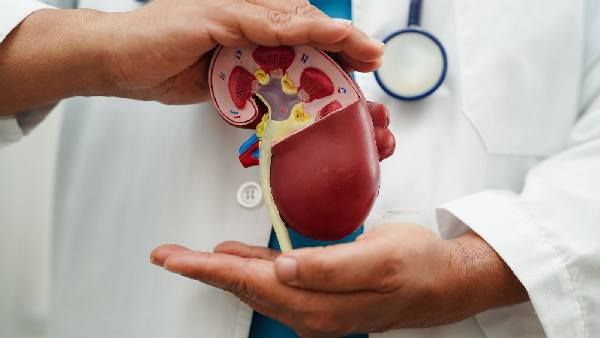 Precautions to be taken to keep kidneys healthy