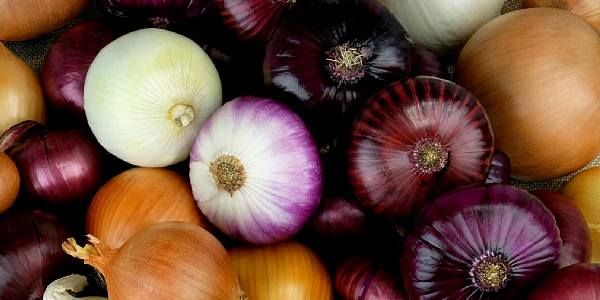 Onions Health benefits