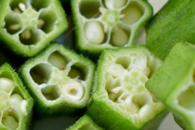 cropped-okra.jpg