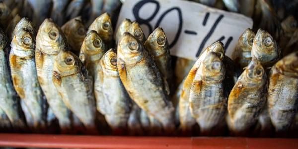 dried fish health benefits