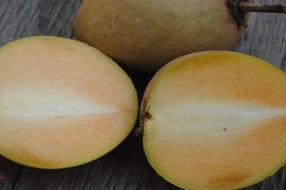 sapodilla-fruits.jpg