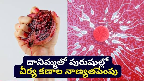 pomegranate fruits improves the quality of sperm cells in men